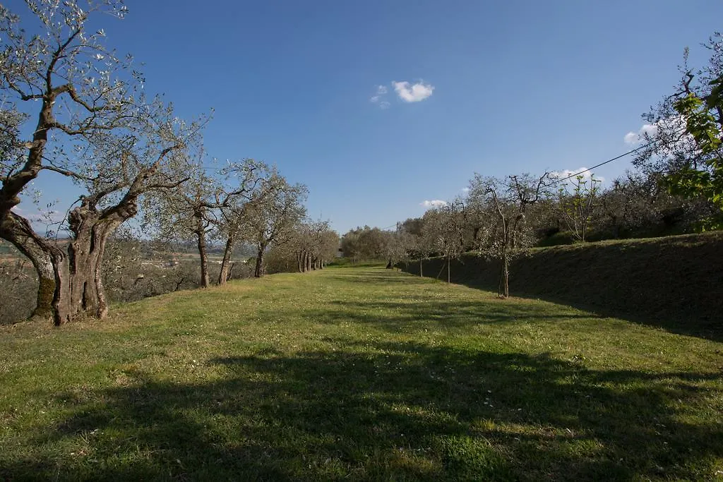 Bed & Breakfast Casa Montalgallo Lucignano Italy